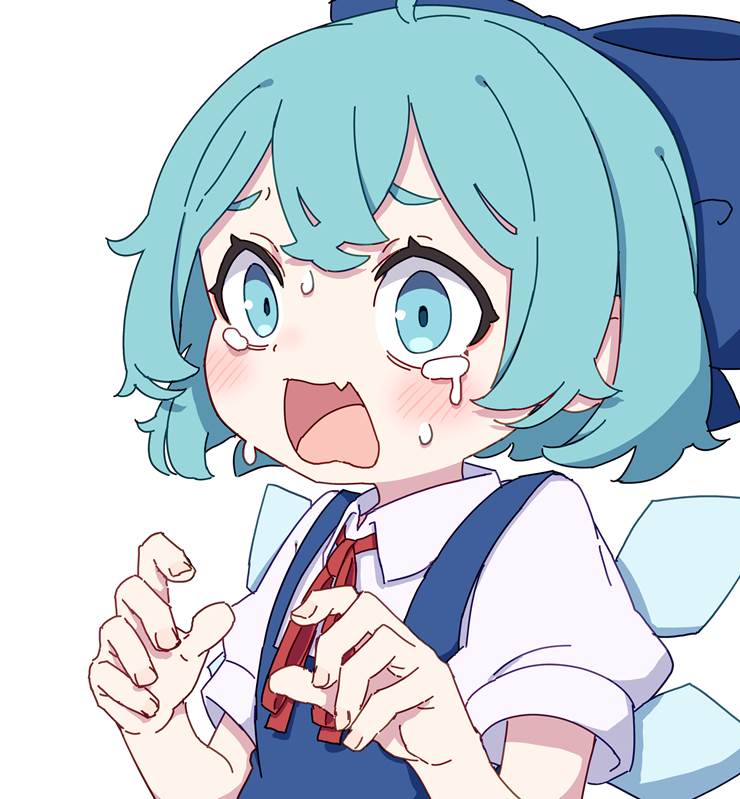 笨蛋哭哭